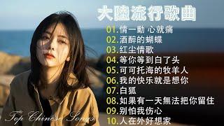 2024中国大陸流行歌曲 不能不听的50首2024好听的流行歌曲【可可托海的牧羊人 , 你的万水千山,红尘情歌 , 酒醉的蝴蝶 , 等你等了那么久 , 我的快樂就是想你】