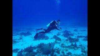 Diving with Dressel Divers, Cozumel