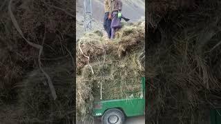 Very difficult life on mountain|Village life nera deosai national park Skardu