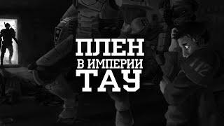 Что будет с теми, кто попал в плен Тау I Warhammer 40000