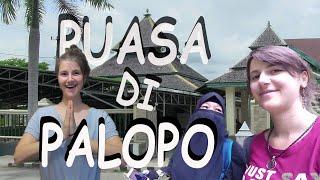 Bule in Palopo. Tripsul.