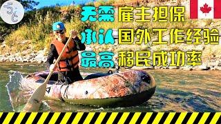 加拿大 移民 | 成功率最高的移民项目，竟然这么不起眼，还免费提供简历!