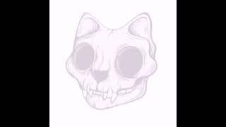 skull kitty