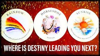 WHERE IS DESTINY LEADING YOU NEXT? Pick A Card Timeless Tarot Reading