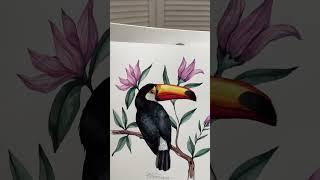 Watercolor Wonders: Short Blooms and Birds