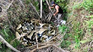 TRAPPED ..!! DURING THE EVACUATION OF THE JUMBO PYTHON MONSTER IN THE HOLE | SNAKE | PYTHON