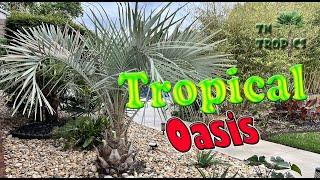 Tropical Oasis In Tennessee - July 2024