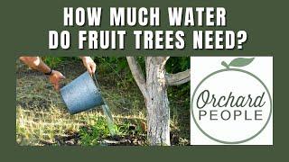 How much water do fruit trees need?  And when to stop watering?