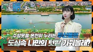 독립만세 넘버 원룸 ep4. 대구 수성구 두산동 쓰리룸편