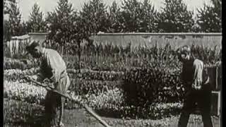 "The Gardener" or "The Sprinkler Sprinkled" (Lumière Brothers, France, 1895)