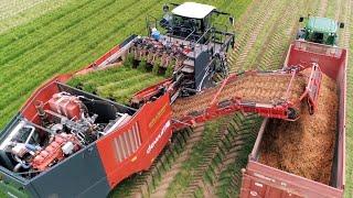 3.4 Billion Pounds Of Carrots Are Harvested In America This Way | Agriculture Technology