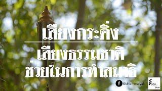  เสียงกระดิ่งลม (Wind Chimes) | ธรรมชาติบำบัด | ฟังเพลิน ช่วยในการทำสมาธิ จิตสงบ ผ่อนคลาย