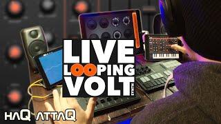 LOOPY and VOLT Synth LIVE Looping Improv | haQ attaQ