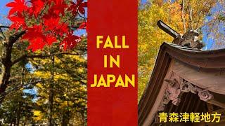 Fall Leaves in Japan - Relaxing Beautiful Scenery in Aomori, Japan