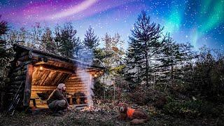 Cold Night in SURVIVAL CABIN w/ Northern Lights!