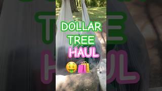 NEW Dollar Tree HAUL!  #dollartreehaul #dollartreehauls #dollartreemakeup #dollartree #haul #hauls