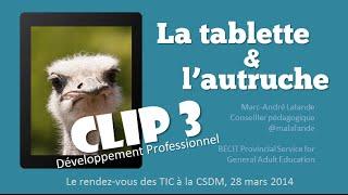 La tablette et l'autruche - 3e partie : Le développement professionnel