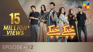 Chupke Chupke Episode 12 | Digitally Presented by Mezan & Powered by Master Paints | HUM TV | Drama