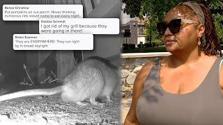 'It's like a rat party': Kenmore residents voice frustration over growing rat problem