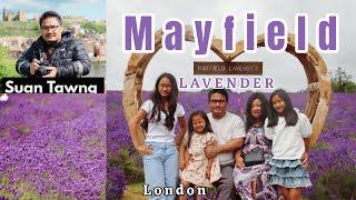 Mayfield Lavender Farm - LONDON