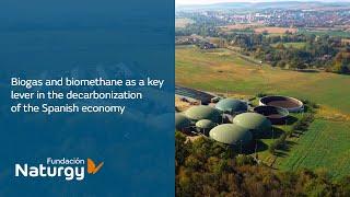 Biogas and biomethane as a key lever in the decarbonization of the Spanish economy