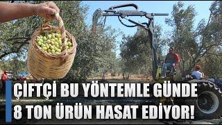 Mucit Çiftçi Bu Yöntemle Günde 8 Ton Zeytin Topluyor! İşçi Maliyetine Son / AGRO TV HABER