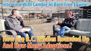 How To Round Up B.C. Wildies, How Many Adoptions? #115