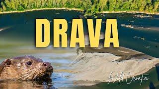 Drava - živa rijeka (dokumentarni film)