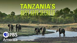 Tarangire FULL EPISODE | Tanzania's Best Kept Secret | PBS America