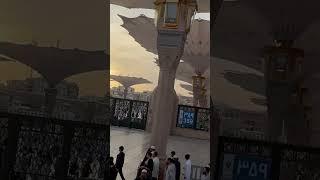 Jannat Al Baqi - Jannat Ul Baqi #jannat #jannatulbaqi #jannatulbaqintv #jannatulbaqichannel #sacred