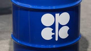 Only OPEC Can Help the US Bring Down Energy Prices, McNally Says