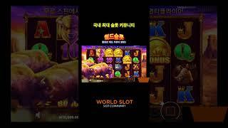 [월드슬롯]Buffalo King : 버팔로 킹  고작 늑대로 이런 잭팟이 나올 수 있다고?!?! BIG WIN 월드슬롯 유저 영상!  #shorts #short #slots