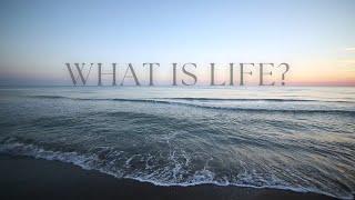 What is Life? | Life is... | Keep Calm & Manifest