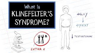 What is Klinefelter's Syndrome?