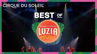 The Best of LUZIA | Cirque du Soleil