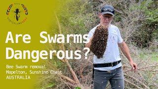  Are Bee Swarms Dangerous?