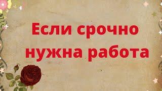 Если срочно нужна работа. Сделайте это.