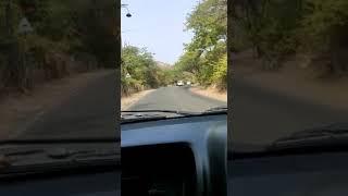 Bala Ji To Jaipur