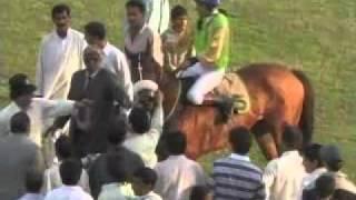 Jockey Shahid Rehman Gold Cup 2007.flv