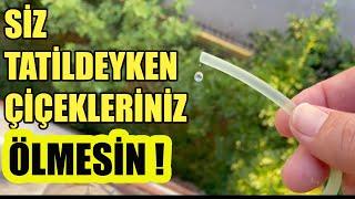 Siz Tatildeyken Çiçekler Nasıl Sulanır? | Ev Yapımı Pratik Sulama İpuçları