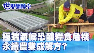 極端氣候恐釀糧食危機 永續農業成解方? 世界翻轉中 20231015