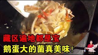 【藏区美食】藏区遍地都是宝，鹅蛋一样的野菌见过吗？简单烹饪就是人间美味！