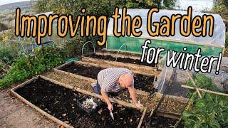 Planting Garlic and improving the garden for winter