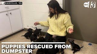 Eight puppies rescued from Gretna dumpster find warmth at local humane society