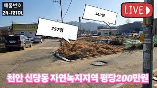 천안시 신당동 자연녹지 지역 토지 평당 200만원 신당 고등학교 인근