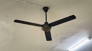 KDK Industrial Ceiling Fan 56 Model B56YK At Church Snack Shop (2024 Remake)