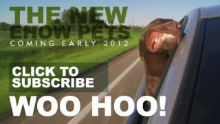 The New eHow Pets - Launching 2012