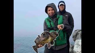 HUGE Cabezon and 2 LINGCOD ~ Nor Cal Fishing