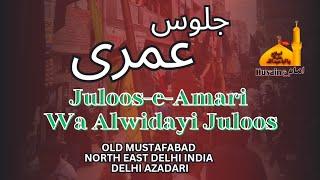 Juloos-e-Amari Old Mustafabad Delhi Azadari 4 Rabi-ul-Awwal 2024 @saiyyadhasanaskari