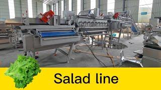 Lettuce washing machine salad spiral washer leafy vegetable processing line export to Malaysia